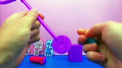 Play Doh Doctor Set français Doc Mc Stuffins Disney Doctor Kit Playset vétérinaire Veterin