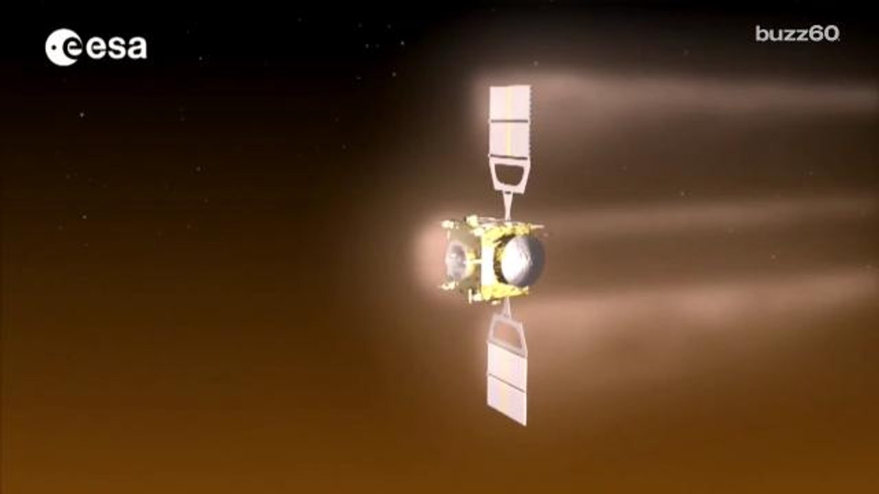 Surprising Discovery Made on Venus