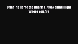 [Read Book] Bringing Home the Dharma: Awakening Right Where You Are  EBook