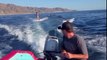 Woman Surfing through WakeBoard with Dolphins - Amazing
