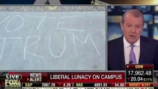 Lunacy On Campus - TRUMP 2016 Chalkings