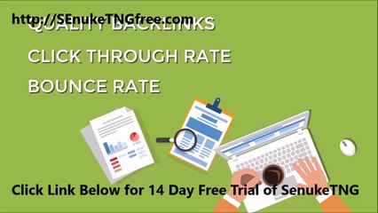 Senuke TNG Best Website Seo Tool