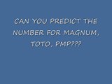 Magnum Toto PMP generator software