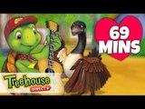 Franklin and Friends: Valentine's Day Special ! | Funny Animal Cartoons for Kids by Treehouse Direct