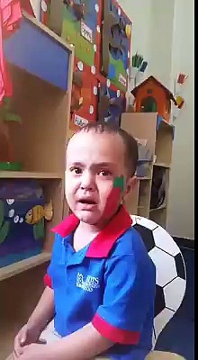funny videos
