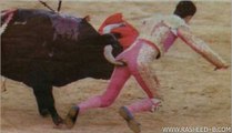 Crazy people Funny Fails Bull attack funny compilation Bull fight accident 2016 (1)