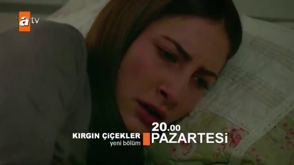 Kırgın Çiçekler 43.Bölüm Fragmanı Hala Ne Yaptım Ben