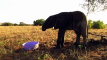 Bébé terrifié n’a pas vu maman toute la journée, mais quand il entend enfin sa voix? Trop beau!