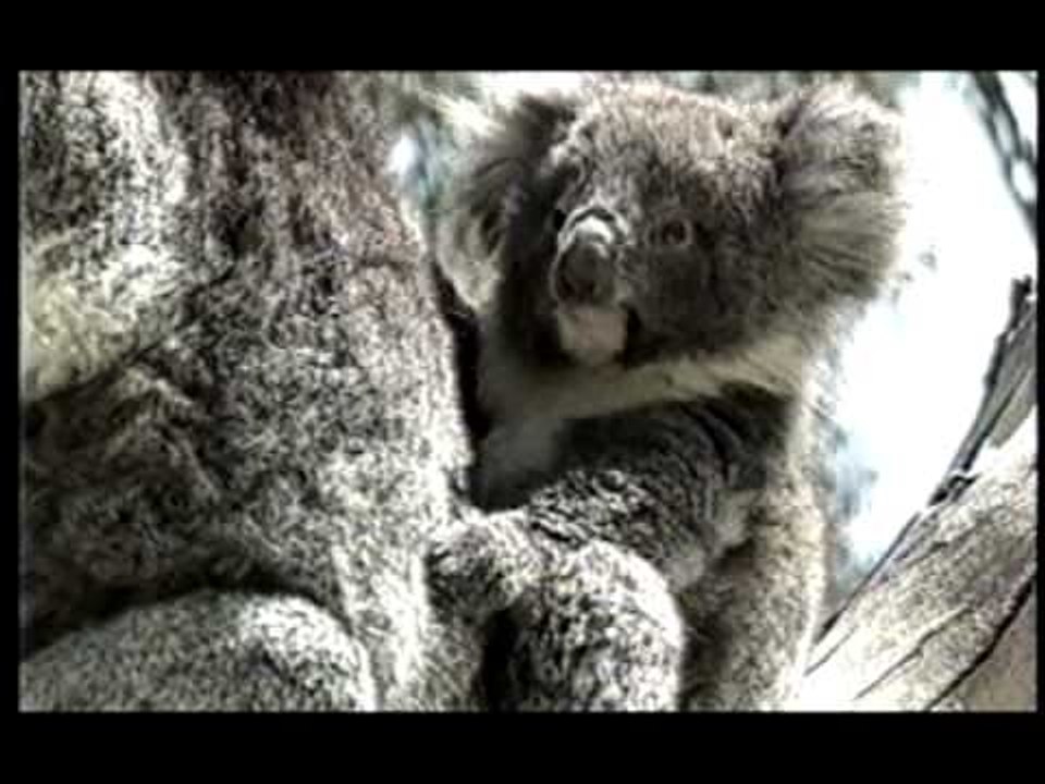 林隆璇 Kevin Lin - 恆星 (官方版MV)