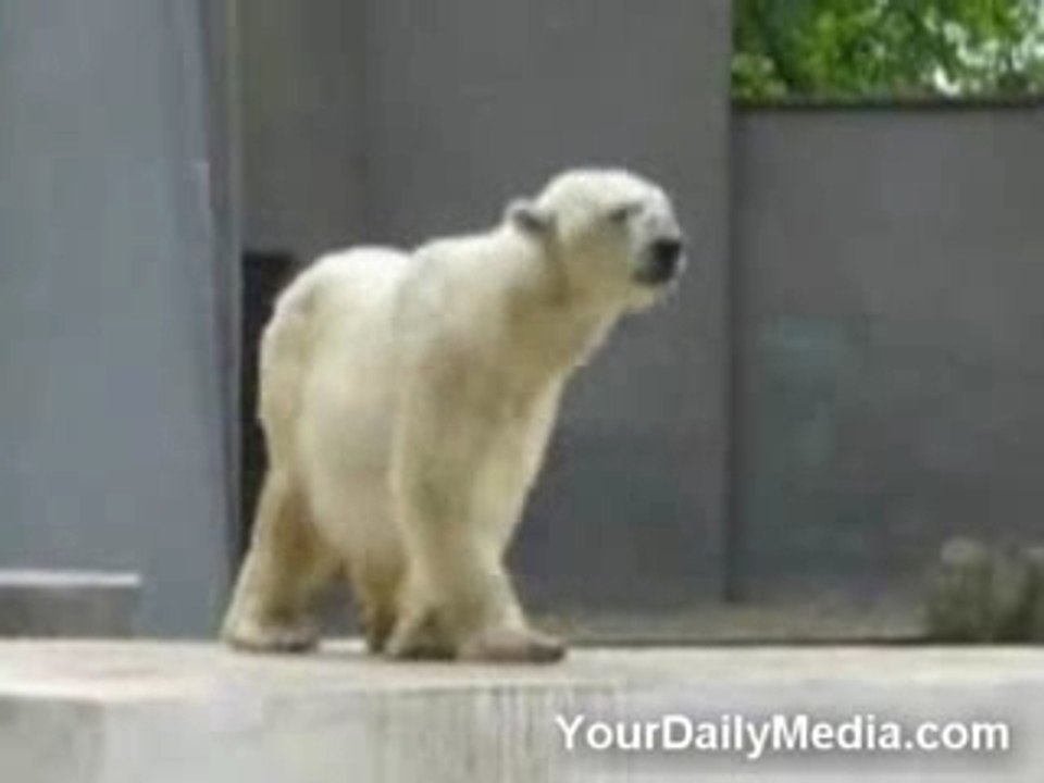 ours ki dance mdr