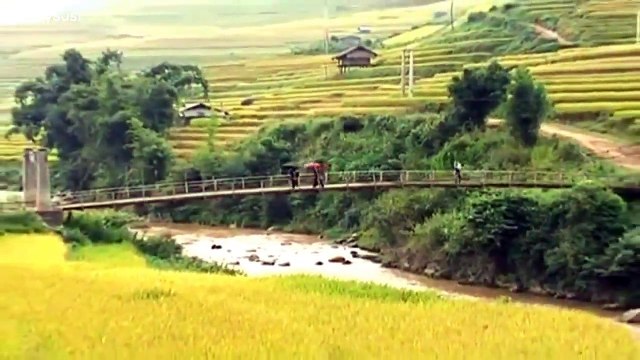 Ca nhạc thiếu nhi Tổng hợp 10 bài hát hay nhất cho thiếu nhi( Chú voi con, Con gà trống...)