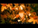 余天 Yu Tien - 另一種鄉愁 (官方版MV)