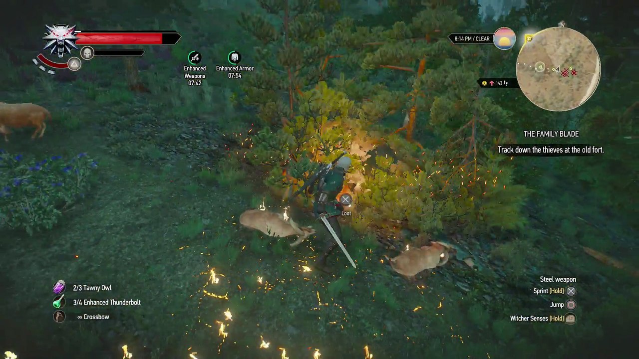 WITCHER 3 DEATH MARCH! WALKTHROUGH 147 - THE FAMILY BLADE