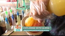 Exploring with Aloha: Uncle Clays House of Pure Aloha