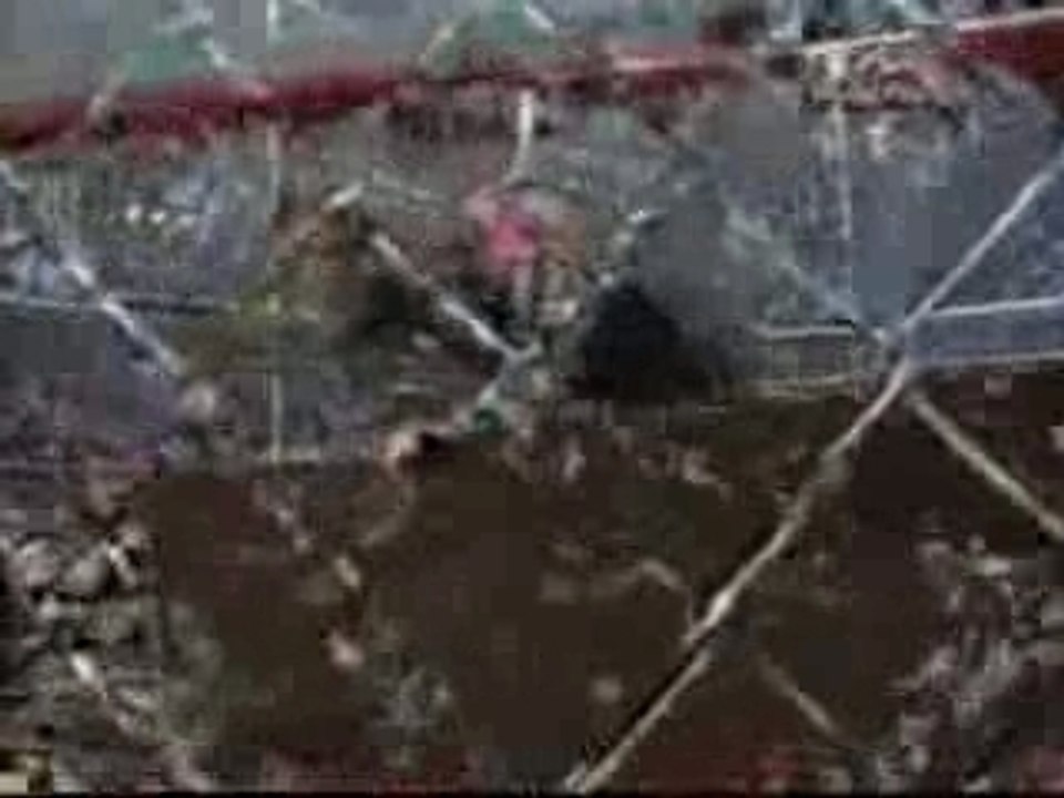 TNA LockDown 2005 - Raven vs Jeff Hardy (Tables Match)