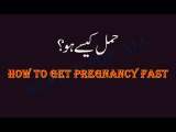 How to get pregnancy fast tips in urdu Jaldi Pregnant Hone ke Liye hamal kaise hota hai