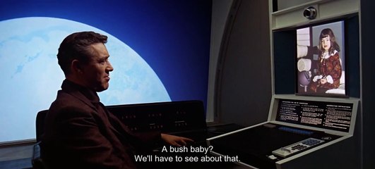 "A bush baby" - 2001: A Space Odyssey