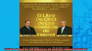 FREE PDF  El Libro de Oro de Los Maestros de Internet Spanish Edition  FREE BOOOK ONLINE