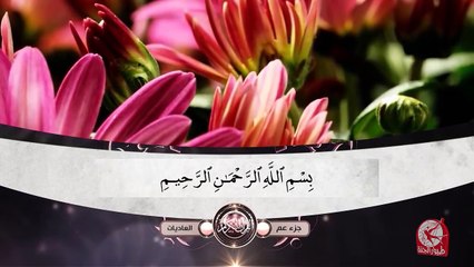 سورة العاديات - جزء عم | طيور الجنة