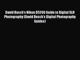 PDF David Busch's Nikon D5200 Guide to Digital SLR Photography (David Busch's Digital Photography