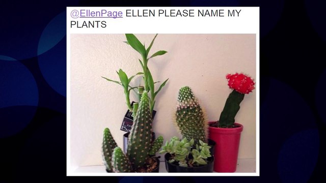 Ellen Page Will Name Your Pet For You - CONAN on TBS