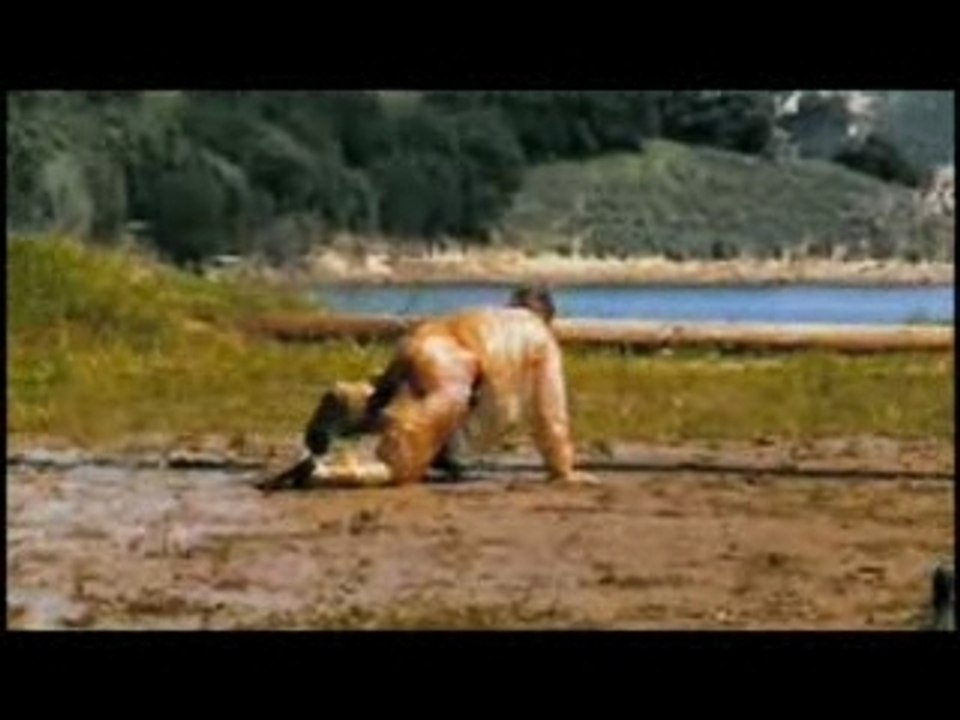 Firehose Rodeo