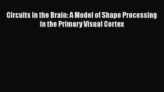 [Read book] Circuits in the Brain: A Model of Shape Processing in the Primary Visual Cortex
