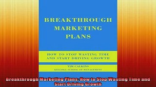 EBOOK ONLINE  Breakthrough Marketing Plans How to Stop Wasting Time and Start Driving Growth  BOOK ONLINE