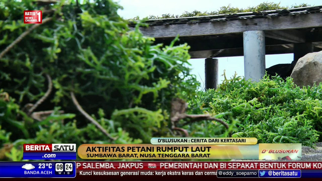 D'Blusukan: Cerita dari Kertasari #3