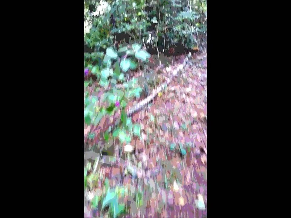 Long Long Way