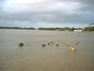 parque nacional laguna de tacarigua