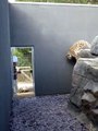 Ce léopard des neiges court sur des murs verticaux. Dingue