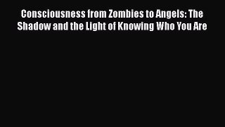 Ebook Consciousness from Zombies to Angels: The Shadow and the Light of Knowing Who You Are