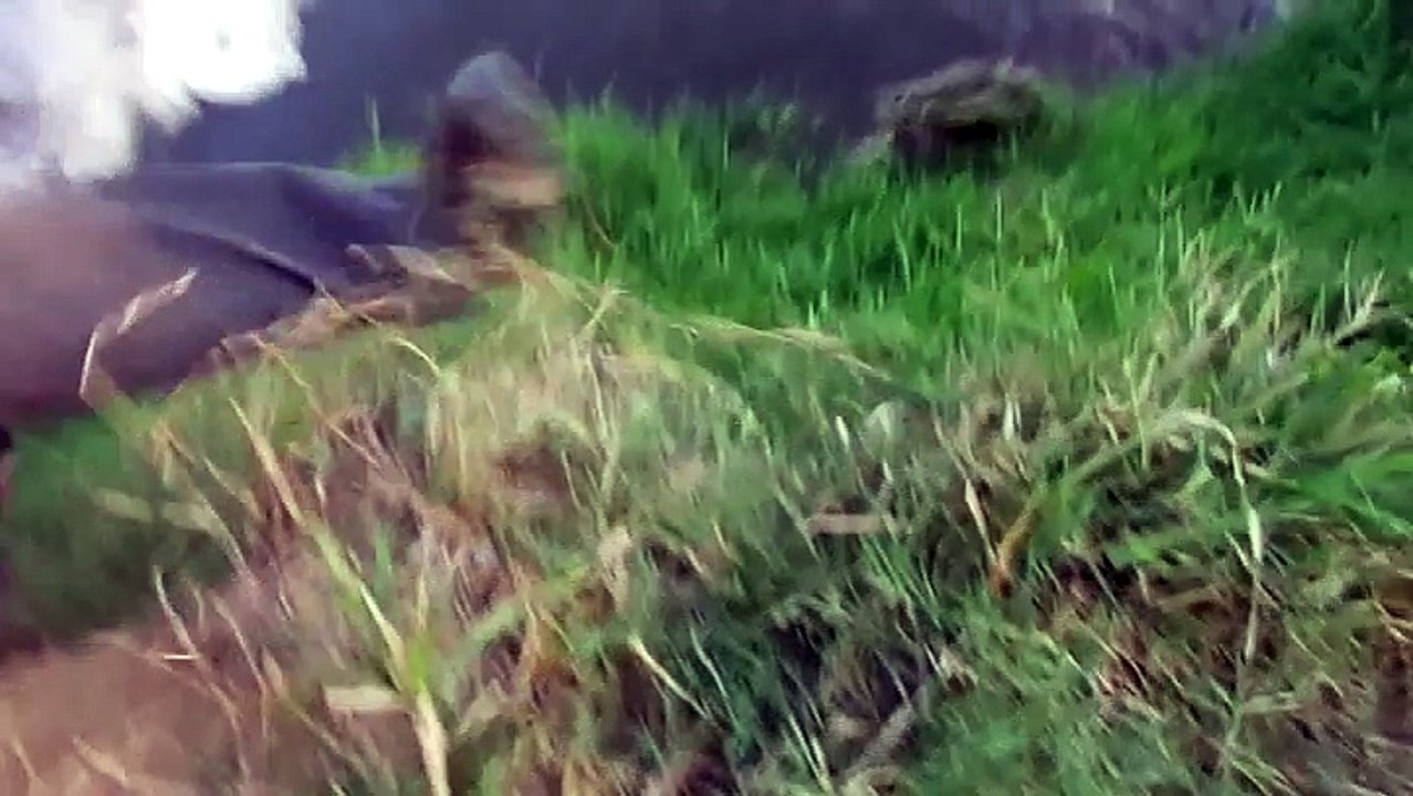 Photographer Barely Escapes Crocodile Attack-Funny  & Entertainment Vidoes-Follow Us!!!!!