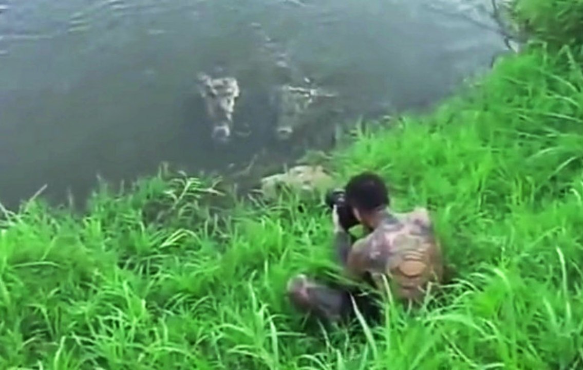 Photographer Barely Escapes Crocodile Attack