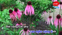 [KaraoKe] Thất Tình (ReMix) Đàm Vĩnh Hưng (Audio) Mới