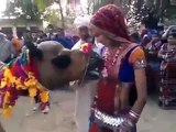 ہندوستانیوں کا شرمناک چہرہ بے زبان جانوروں سے کیا کروارہے لڑکیوں کیساتھ