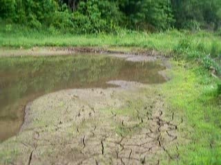 PVT. DENNIS S. HOWERY, SR. - C.S.A. - CO. K. - 45TH VIRGINIA