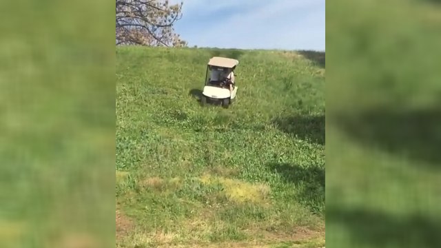 Deux hommes retournent une voiturette de golf en prenant une descente
