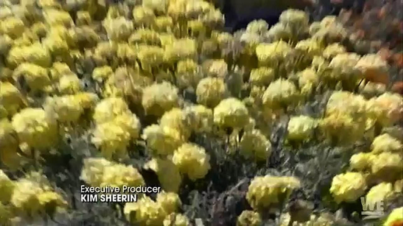 Kendra On Top S05E03 Where's the Beef?