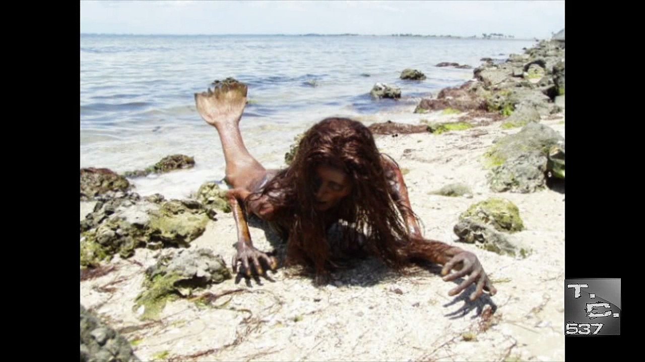 Sirena Real Encontrada en Mexico
