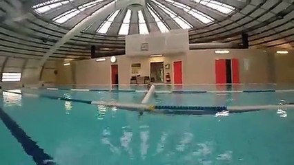 Mur SWAM - L'optimiseur de bassin ! LMP