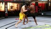 EA SPORTS UFC 2 - All Skill Challenges - StandUp, Clinch and Ground