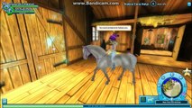 Buying Icelandic Horse plus Review