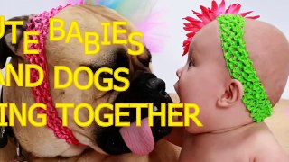 Cute babies and dogs playing together Funny baby & dog compilation