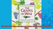 Free PDF Downlaod  The Grapes of Wine The Fine Art of Growing Grapes and Making Wine READ ONLINE