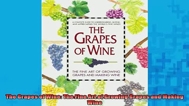 Free PDF Downlaod The Grapes of Wine The Fine Art of Growing Grapes and Making Wine READ ONLINE