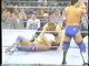 Owen Hart/Davey Boy Smith vs. Furnas/LaFon - Raw 1/20/97