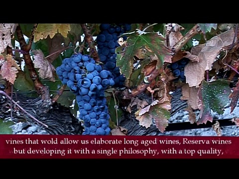 RENTO WINERY