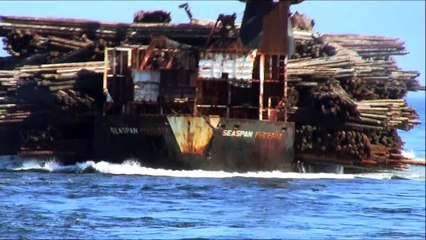 Looks Like An Accident, But This Is How They Unload Timber In Canada (HD)